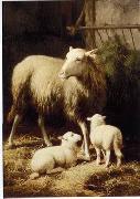 unknow artist Sheep 057 USA oil painting artist